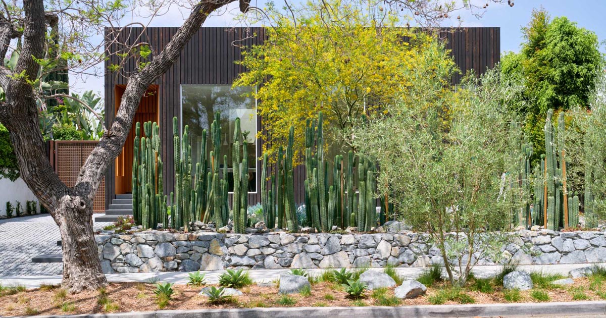 Cacti Have been Used To Create Privateness For This Dwelling In Los Angeles